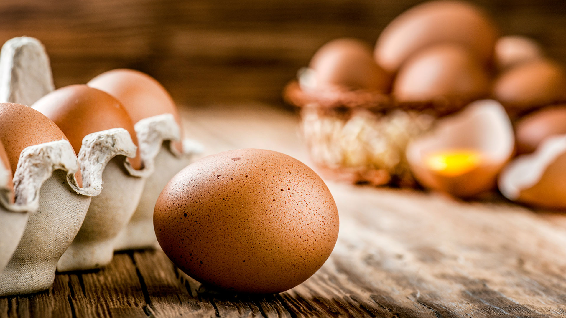 Quem tem mais proteína, ovo de codorna ou ovo de galinha?