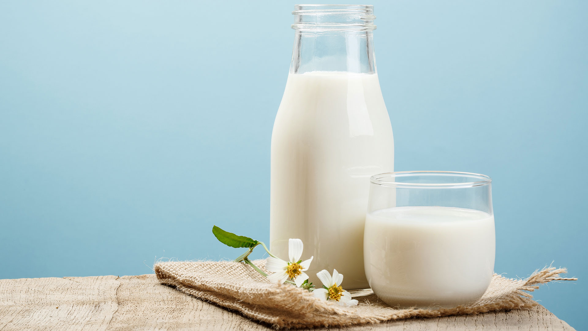 Como fazer a dieta do leite e quais suas qualidades