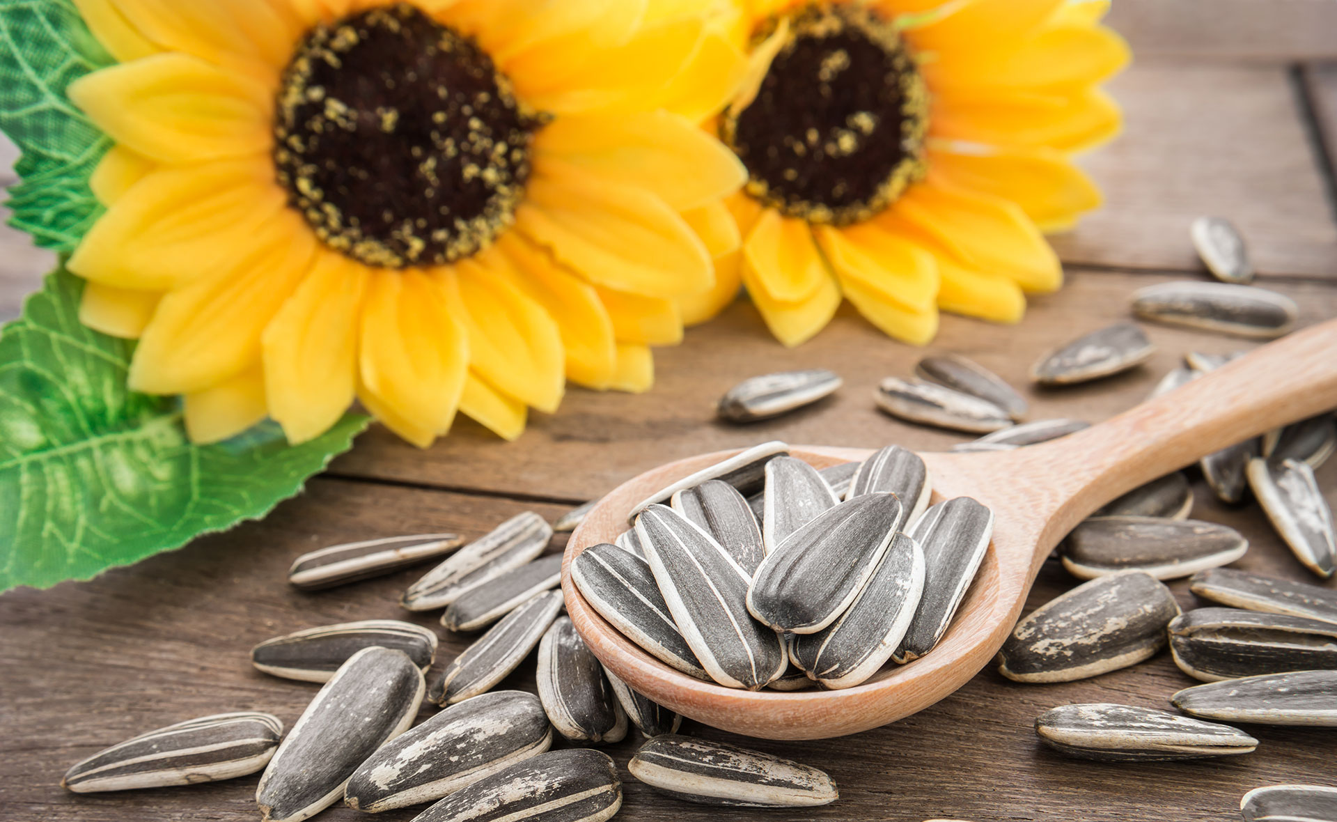 Benefícios da semente de girassol e como consumir